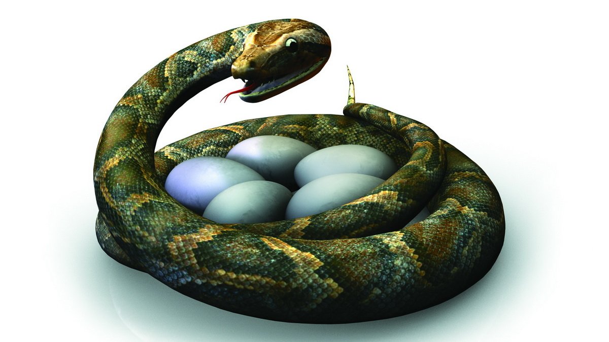 Anaconda3 python. Anaconda3 python