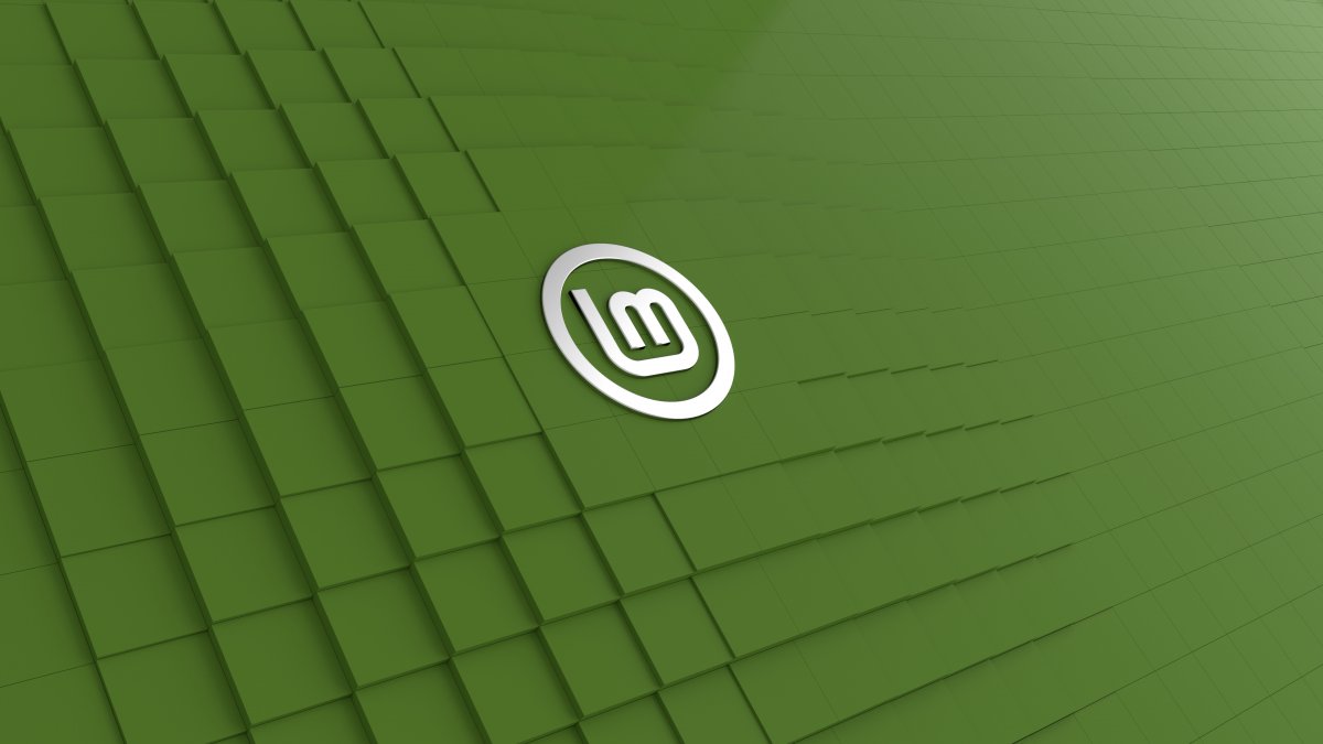 Linux Mint 20: Desktop ohne Snap-Pakete