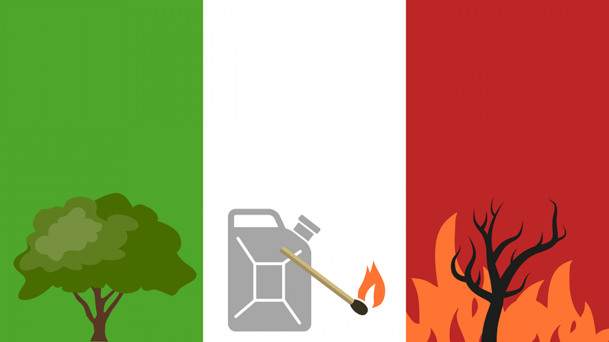 Waldbrände in halb Italien Brandstiftung und Klima Telepolis