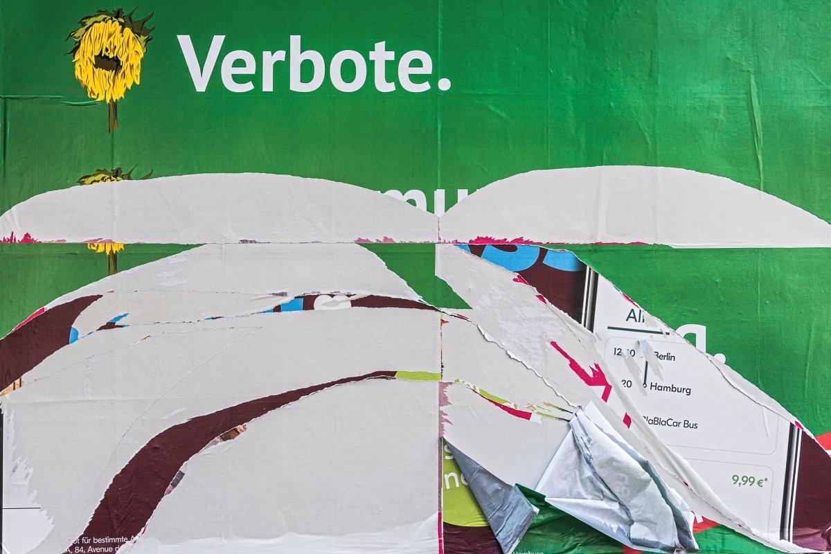 Die Grünen als Sündenbock