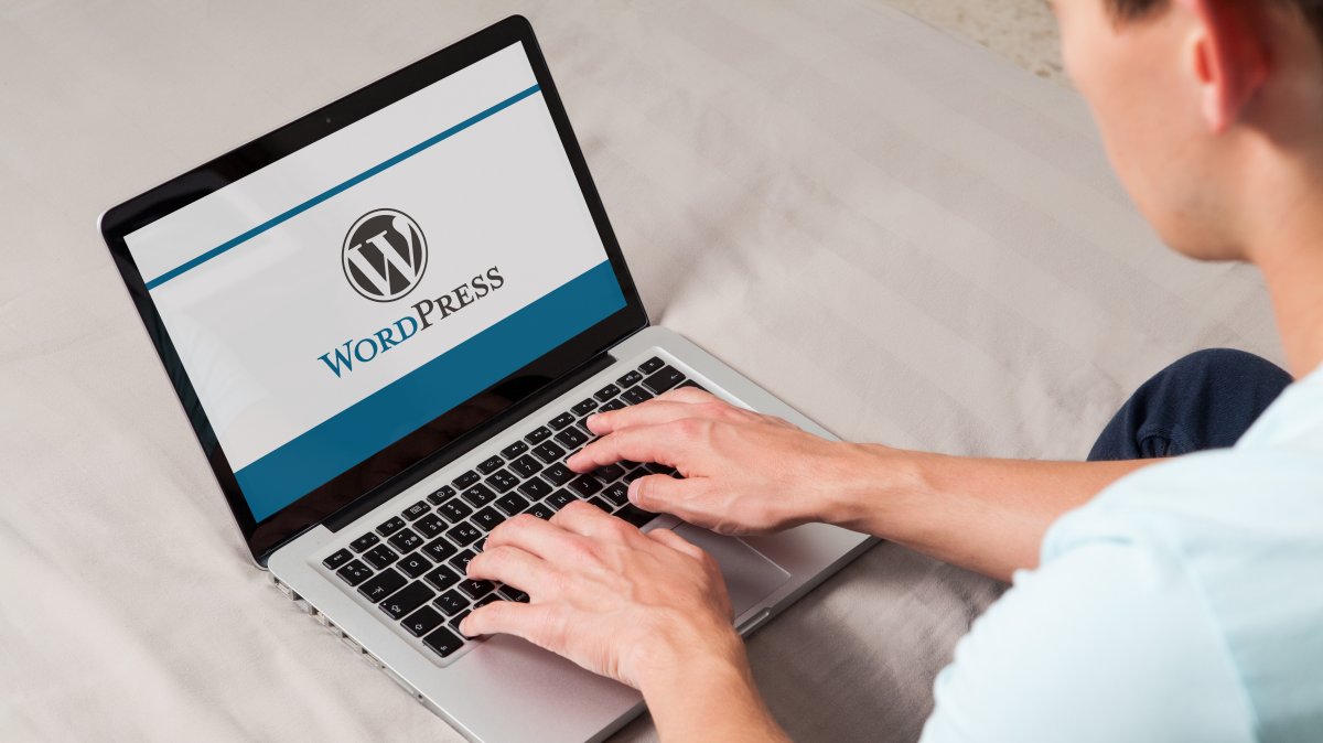 WordPress 5.9.3: pembaruan perbaikan bug terakhir dirilis sebelum versi 6.0