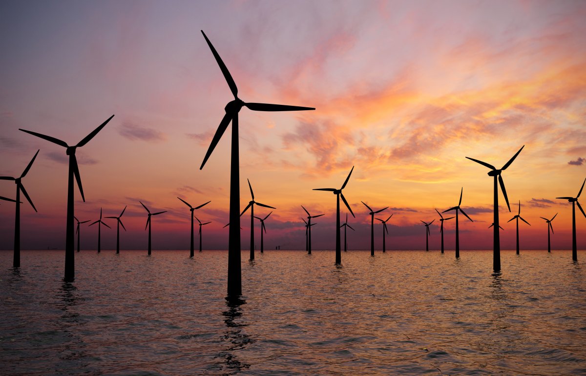 Windkraftausbau in der Nordsee: Scholz sieht "Zeitpunkt für den Aufbruch"