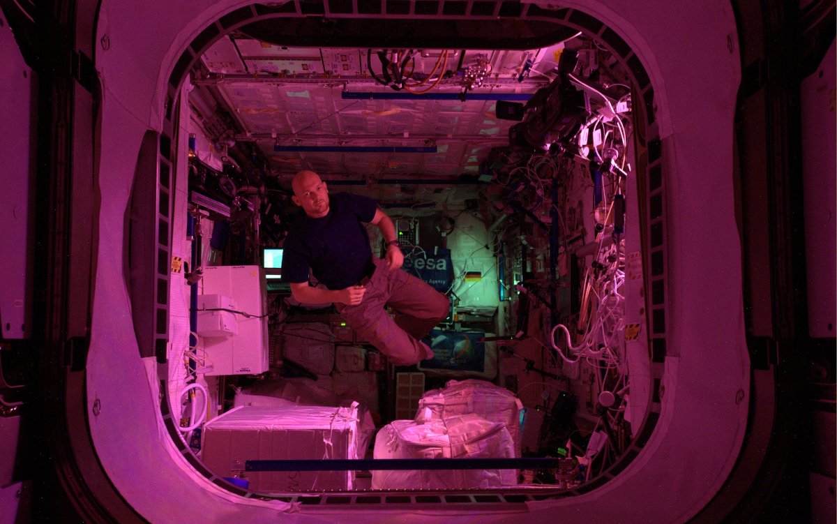 Se dice que la NASA quiere enviar investigadores “altamente especializados” a la Estación Espacial Internacional