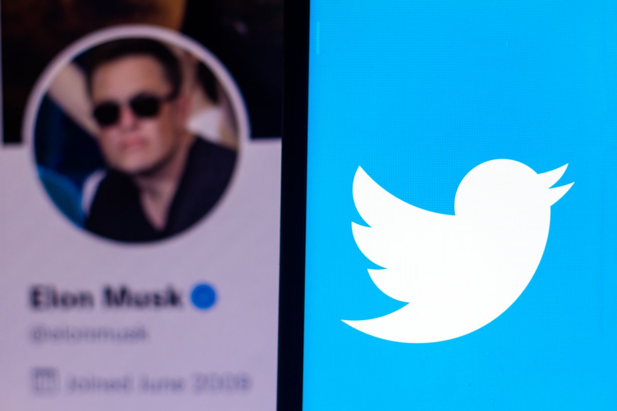 Twitter: Rechtsextreme sehen in Musk Verbündeten, Antifaschisten werden gesperrt