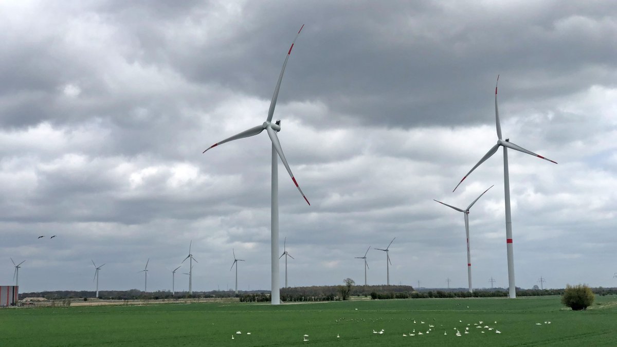 Scholz zur Windkraft: Täglich fünf neue Windräder in Deutschland
