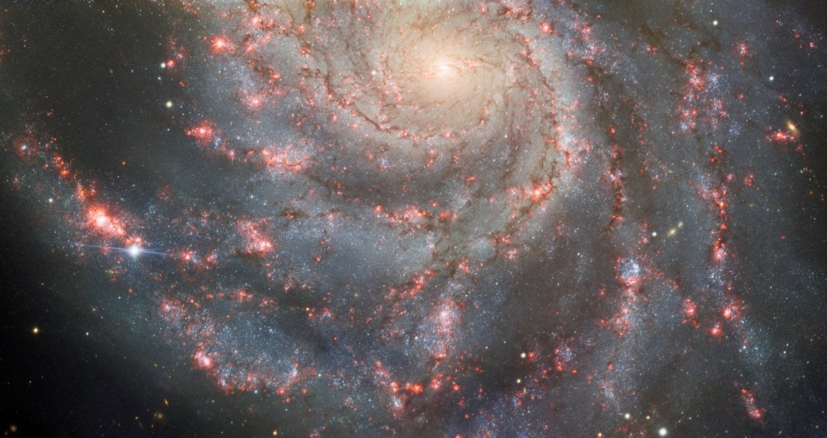 SN 2023ixf: Beeindruckende Aufnahme der erdnächsten Supernova seit 10 Jahren