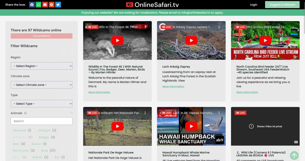 Web-Tipps: Auf Safari im Netz