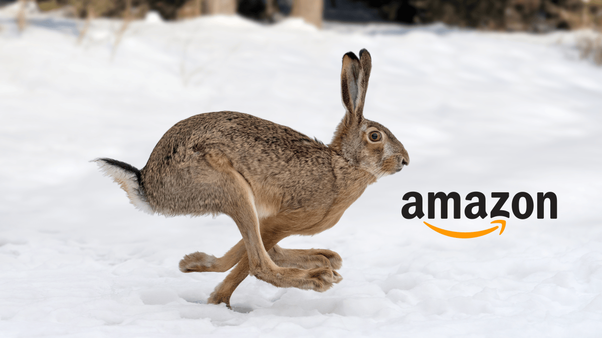 Amazon Paskalya teklifleri: Apple kullanıcıları için hangi fırsatlar uygundur