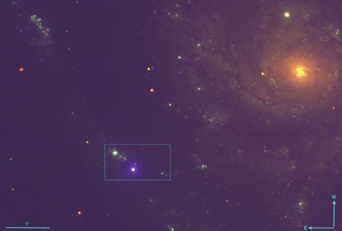 Schwarzes Loch nach erdnächster Supernova des letzten Jahrzehnts