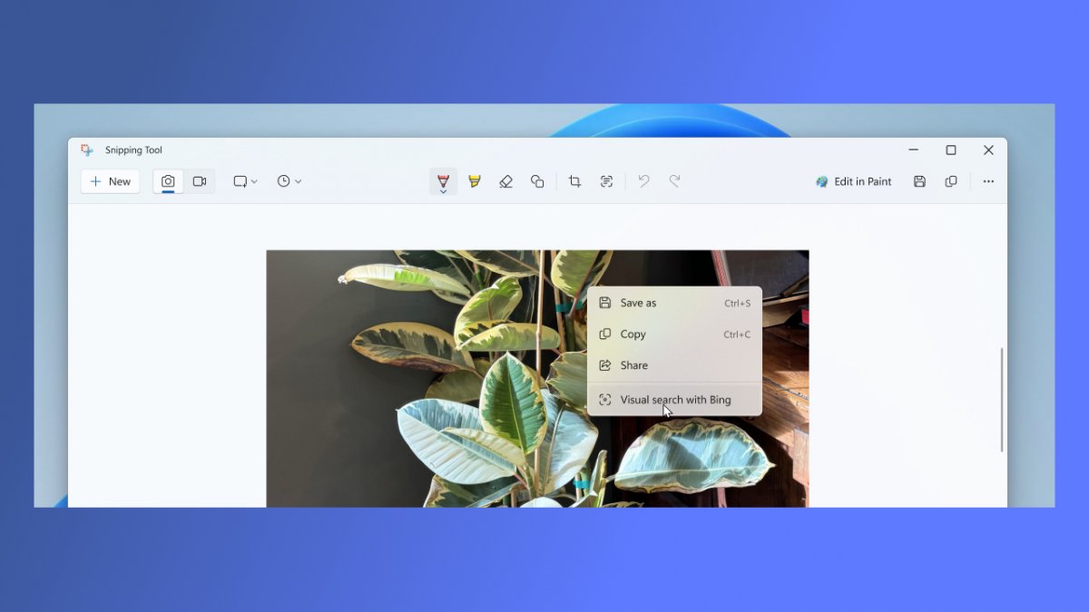 Snipping Tool Slowness after upgrading to Win 11