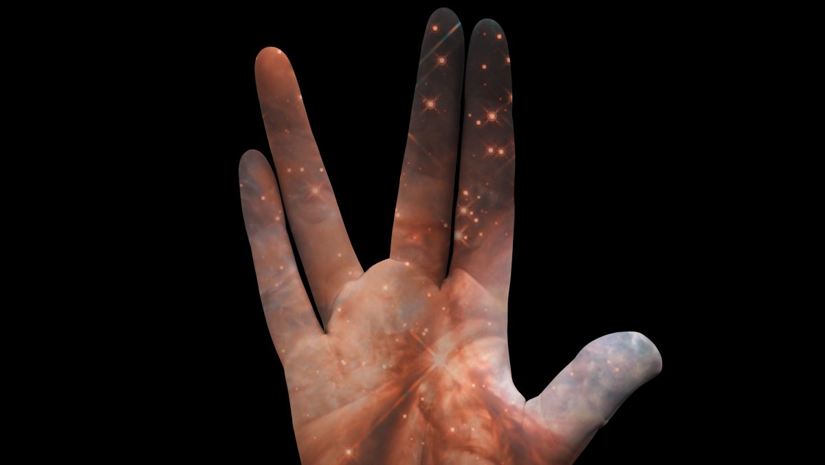 Bookmark Bild