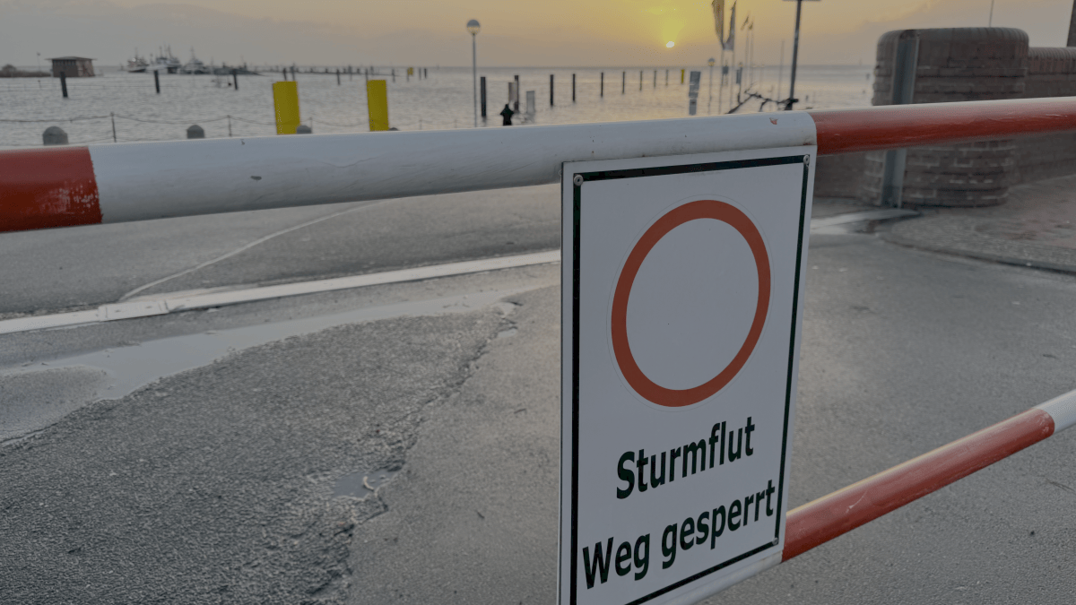 Sturmflut-ki: Makine öğrenimi kıyı korumasına yardımcı olabilir