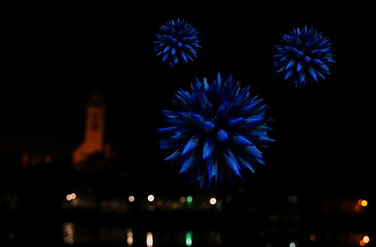 Bunte Nektarvögel, blaue Quallen und ein Feuerwerk: Die Bilder der Woche 17