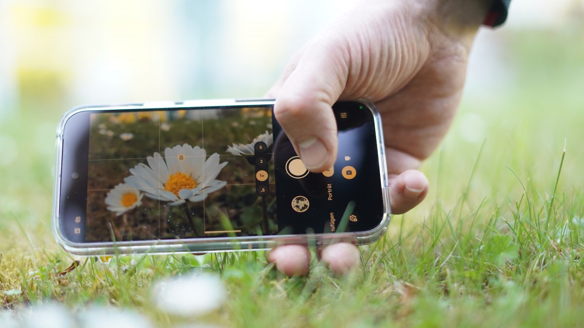 Bessere Makrofotos mit dem Smartphone: So gelingen beeindruckende Nahaufnahmen