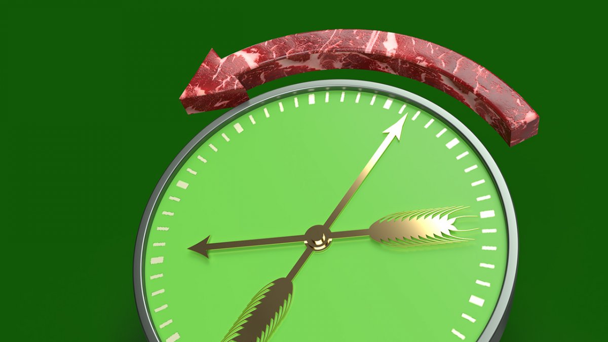 Neuer Agrarminister gegen Fleisch-Aufschläge und Veggie-Schnitzel