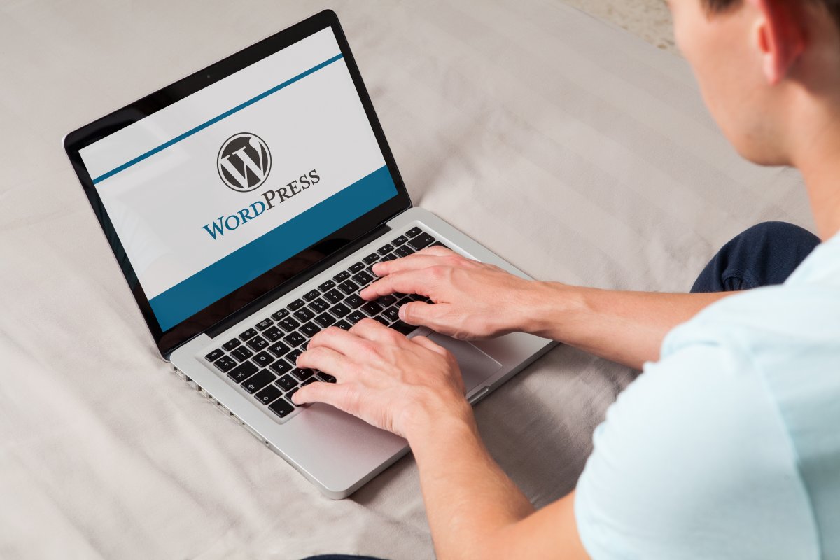 WordPress-Plug-in TheGem: Sicherheitsleck gefährdet 82.000 Webseiten