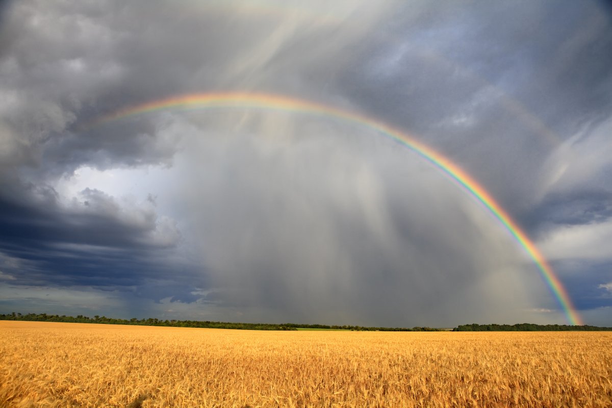 Platform Engineering: Vom Regenbogenteam zur reiferen Plattform