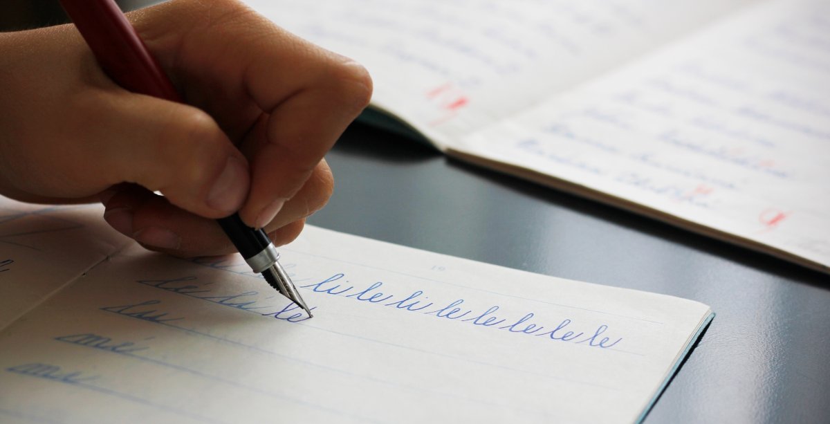 Bookmark Bild