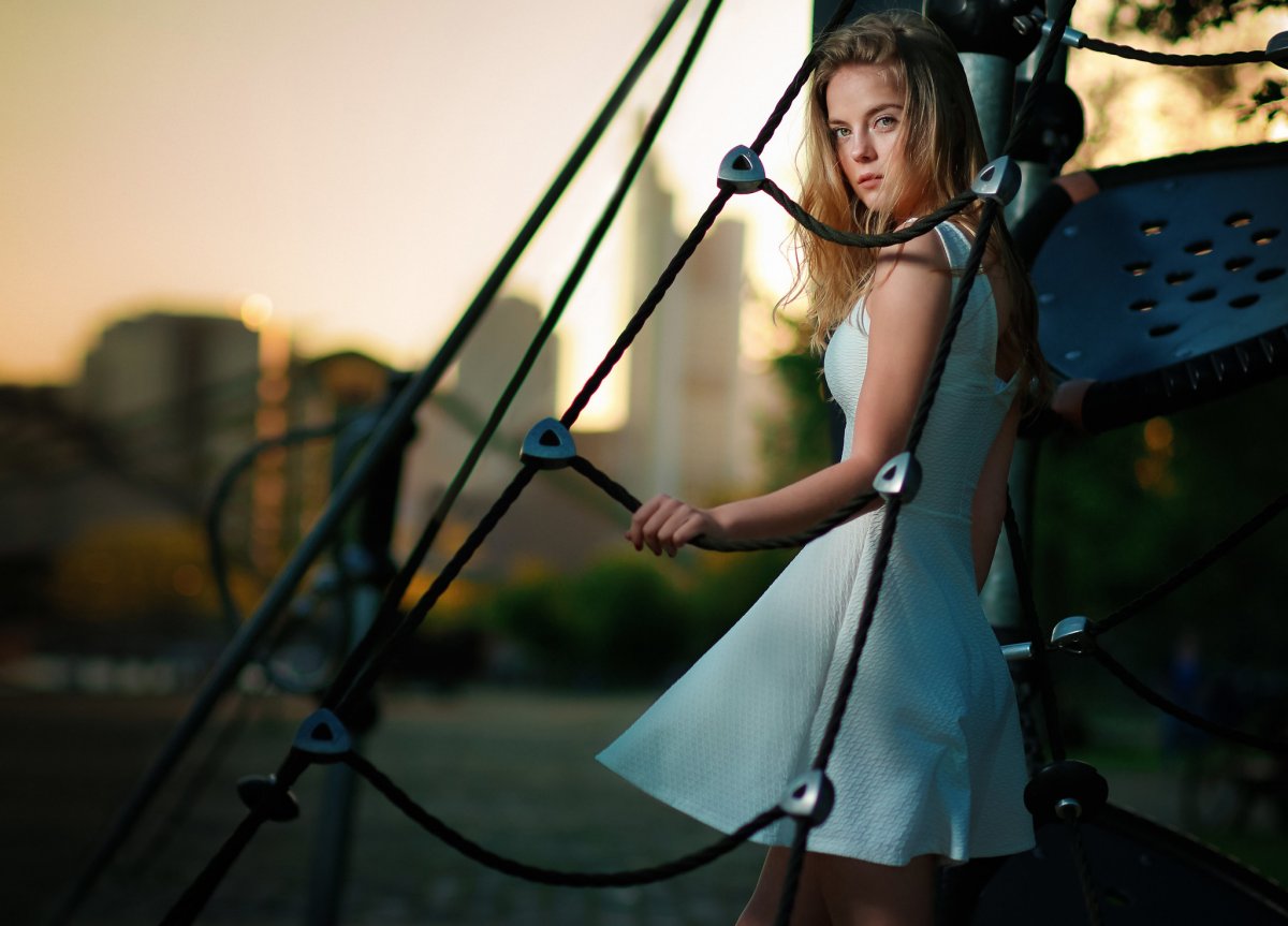 Bookmark Bild