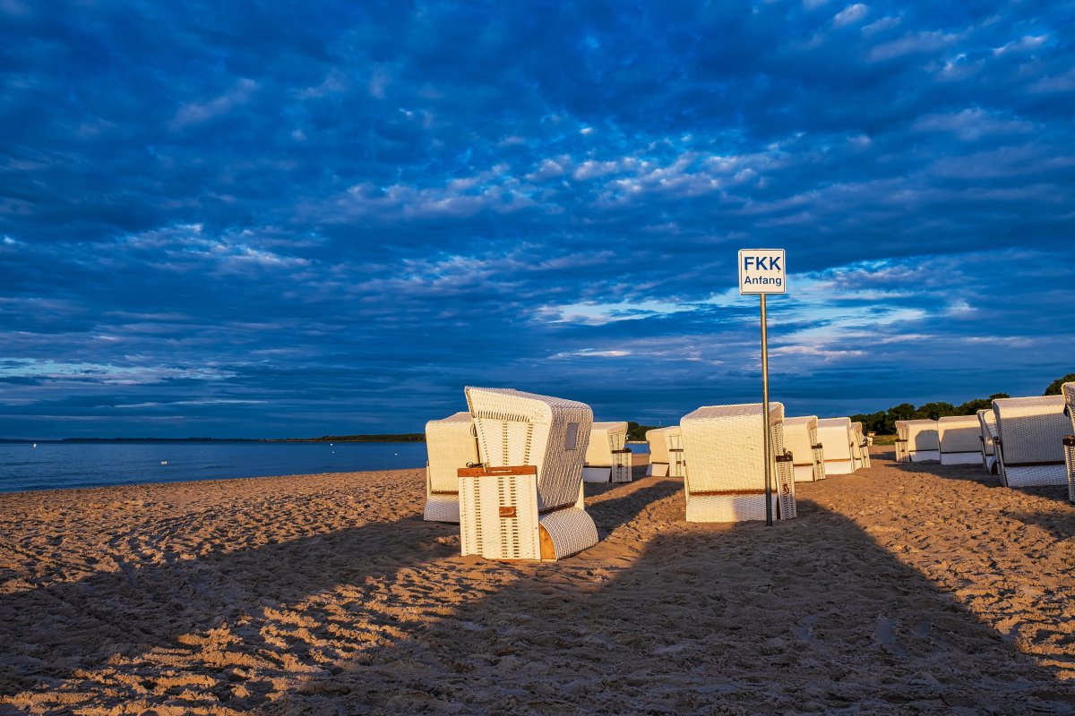 Bookmark Bild