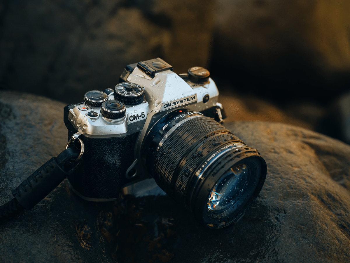 Bookmark Bild
