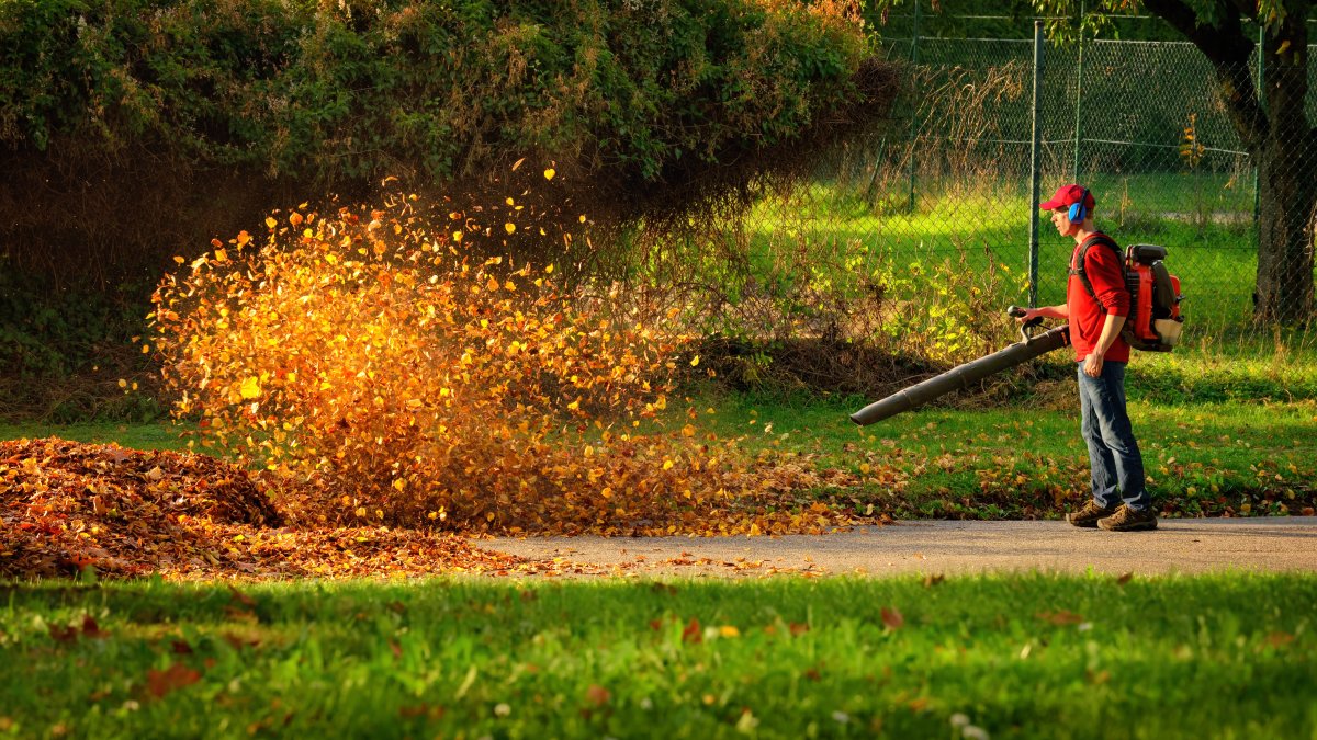 Bookmark Bild