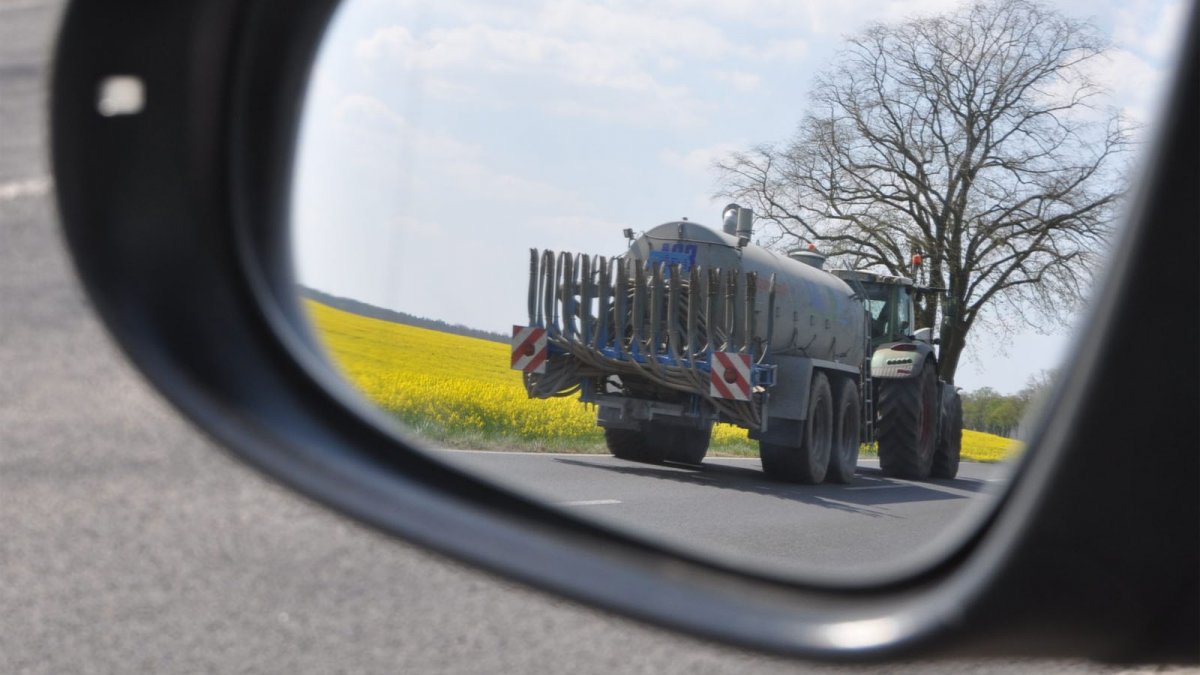 Bookmark Bild