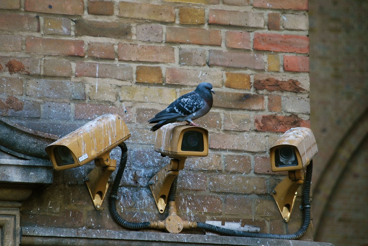 Bookmark Bild