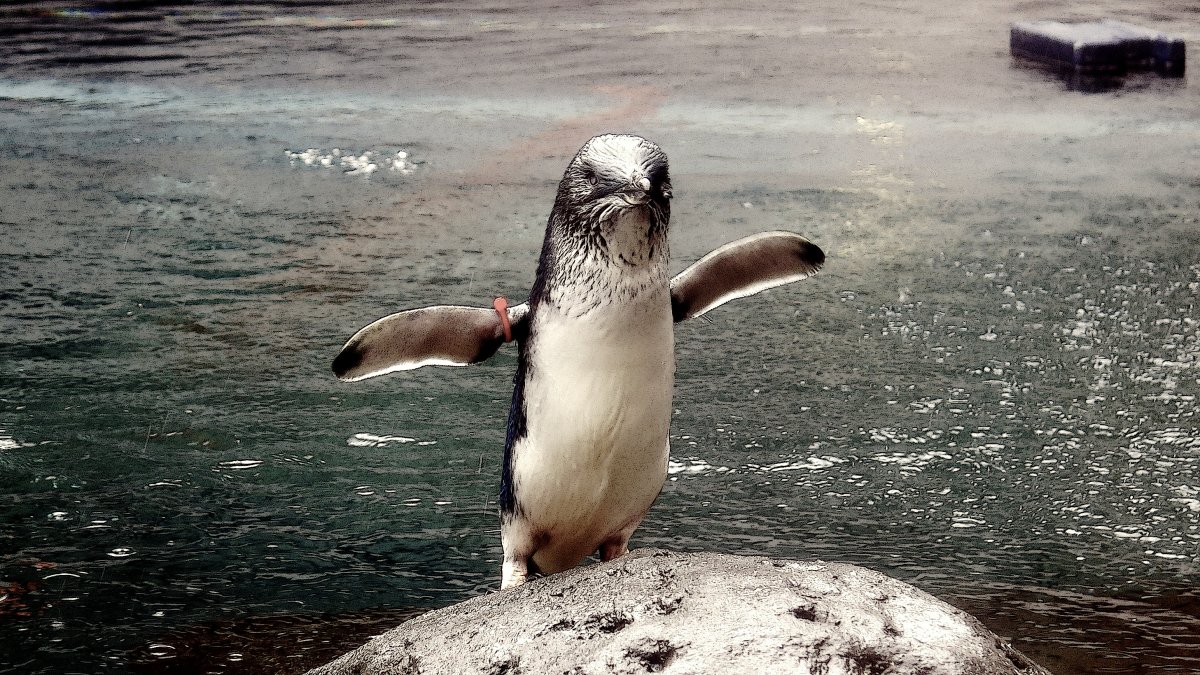 Linux-Torvalds-wirft-Bcachefs-Dateisystem-aus-dem-Kernel