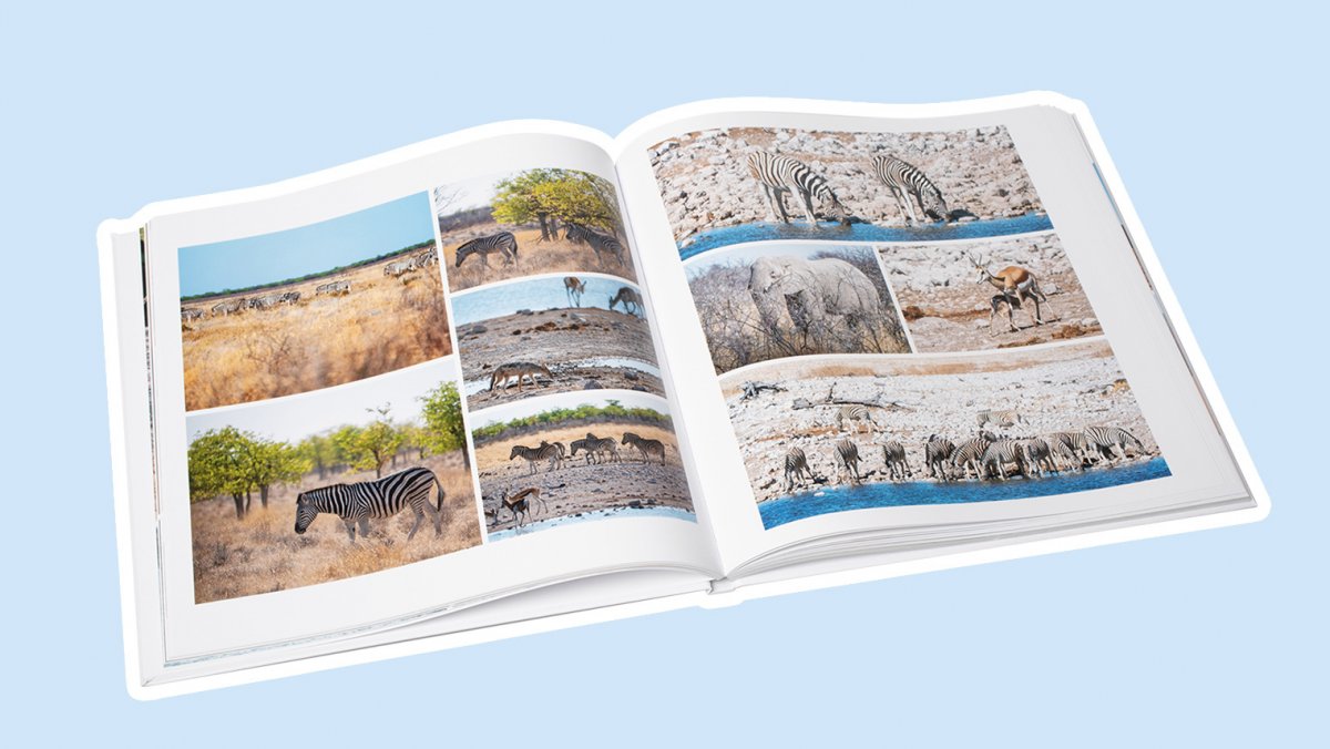 heise-Fotob-cher-mit-KI-Layout-Myposter-de-im-Test