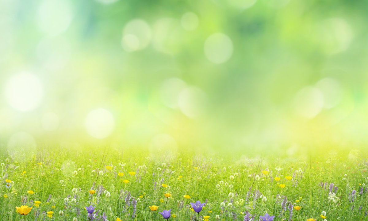 Spring Framework 7, yeni bir boş güvenlik konsepti sunar ve Java 25'i temel alır