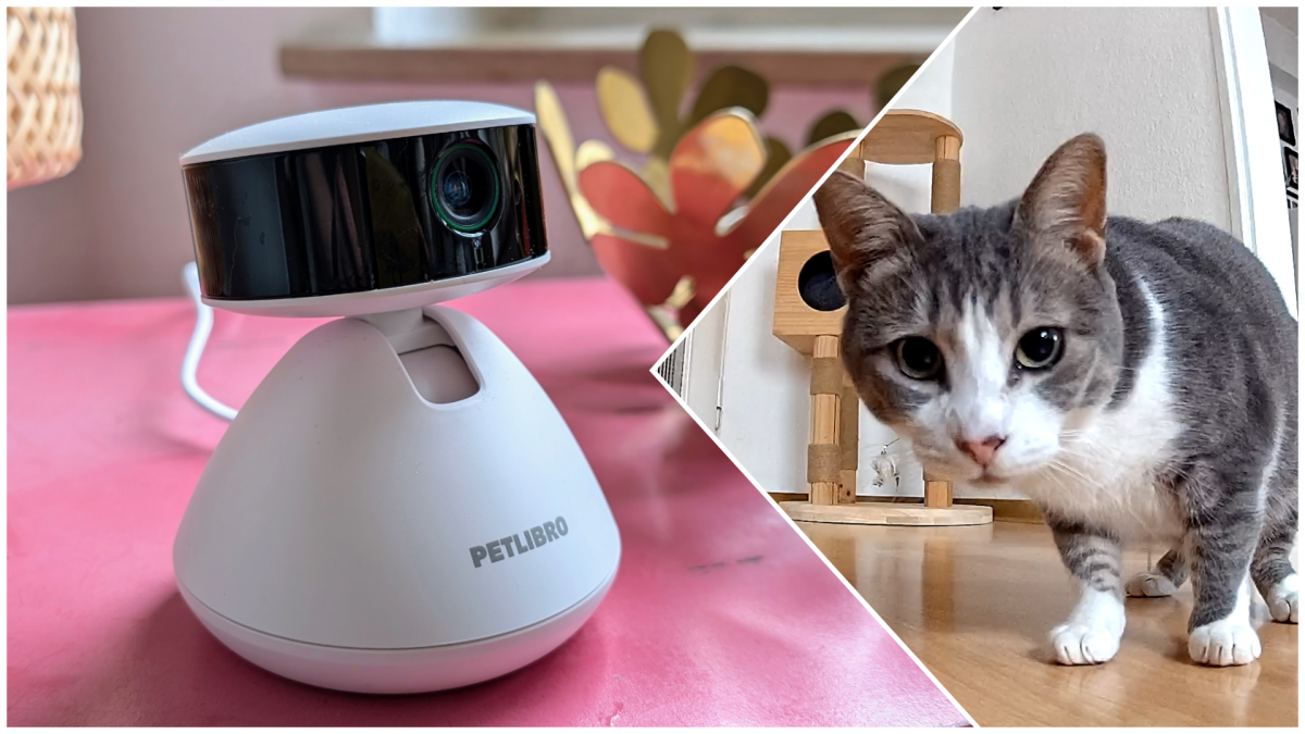 heise+ | Haustierkamera Petlibro Scout: Tierüberwachung mit KI-Erkennung im Test