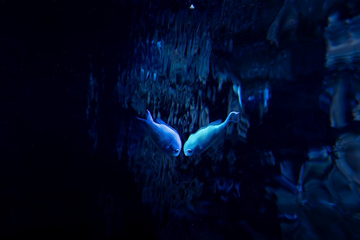 Fotokunst-Die-Bilder-der-Woche-48