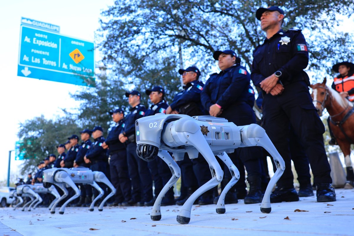 Mexiko: Roboterhund-Brigade für die Fußball-WM