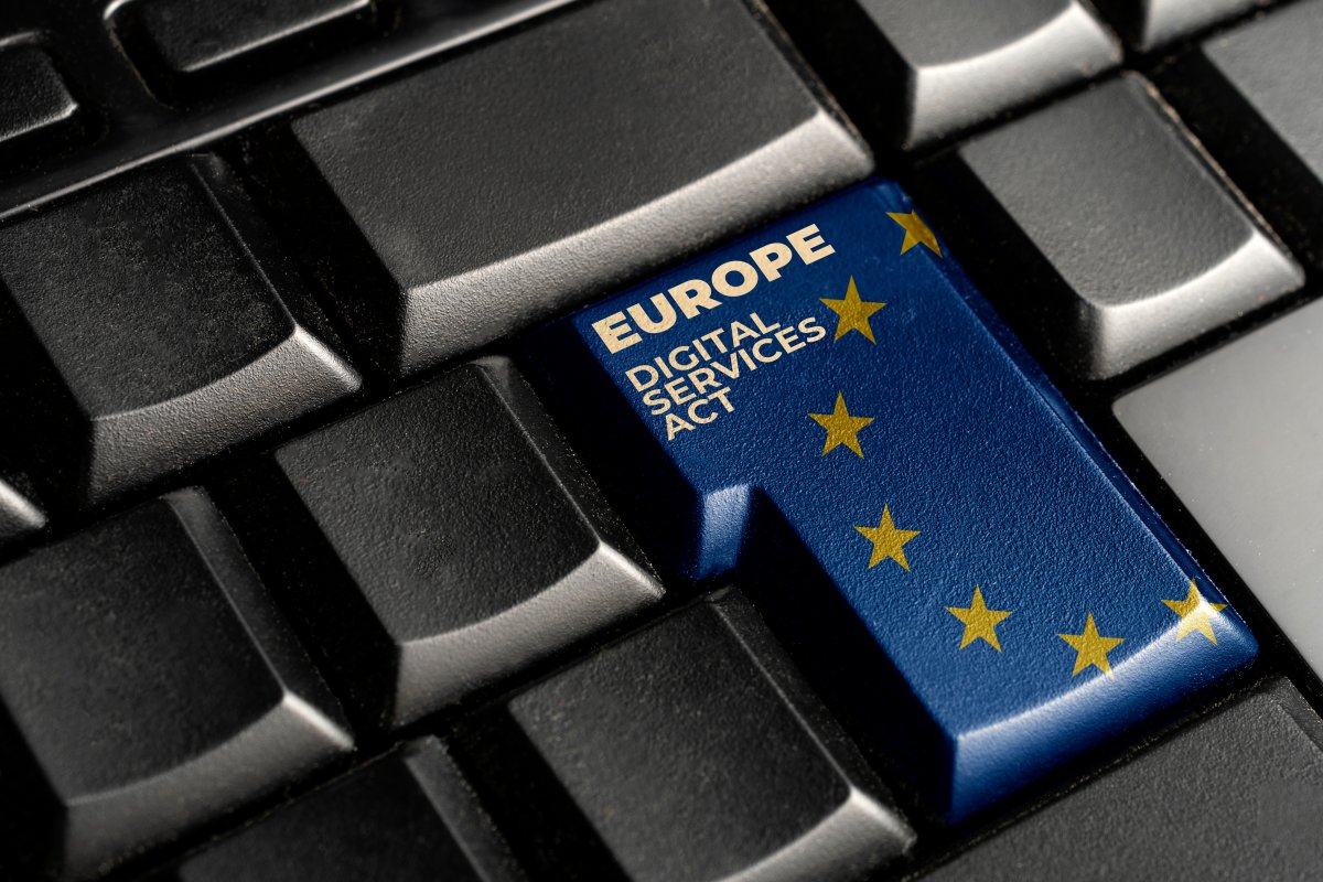Digital Services Act: The Trusted Flagger system still has issues ...