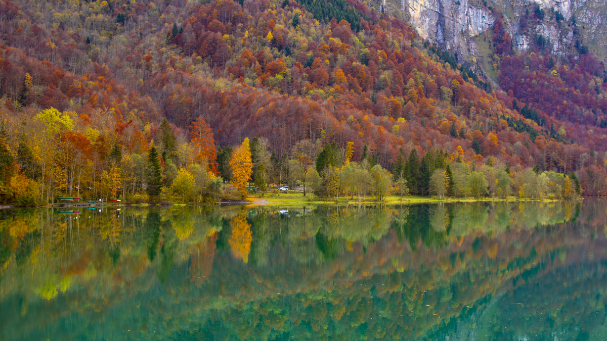 heise+ | Fotografieren am Klöntalersee in der Schweiz: Farben, Nebel und tolle Fotospots