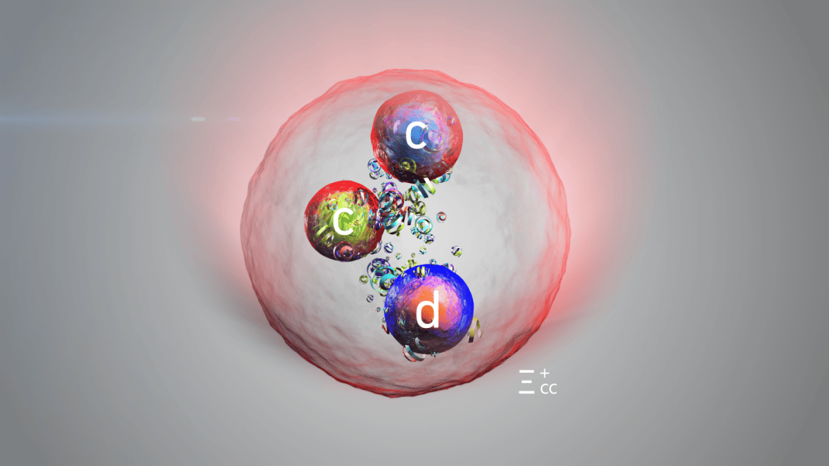 CERN: Aufgerüsteter LHCb-Detektor entdeckt schweres Proton-Pendant