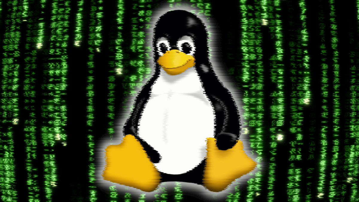 „Fragnesia“: Nächste Rechteausweitungslücke im Linux-Kernel