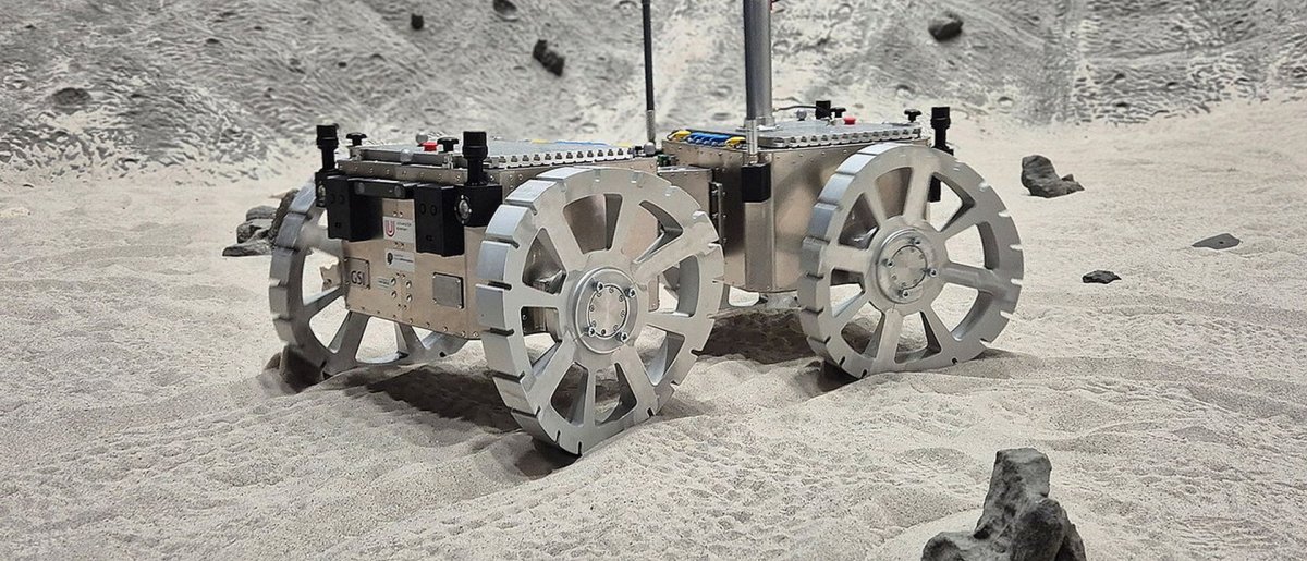 Marsrover: Forscher entwickeln Räder nach dem Vorbild einer Sahara-Eidechse