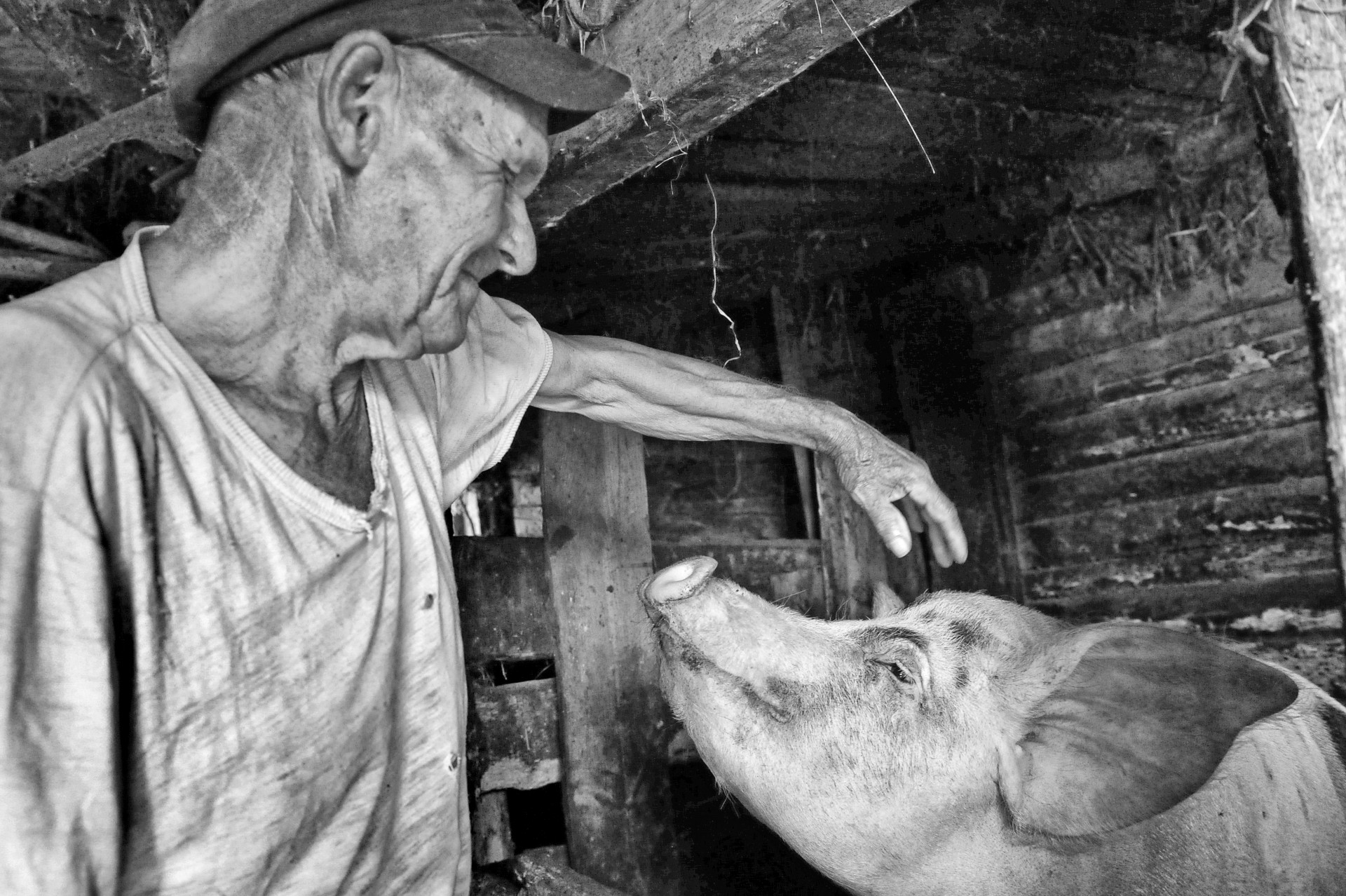 30 Jahre nach Tschernobyl: Das ganz normale Leben im ...