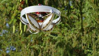 Sanfte Landung: Drohne sammelt DNA-Proben von dünnen, wackelnden Ästen