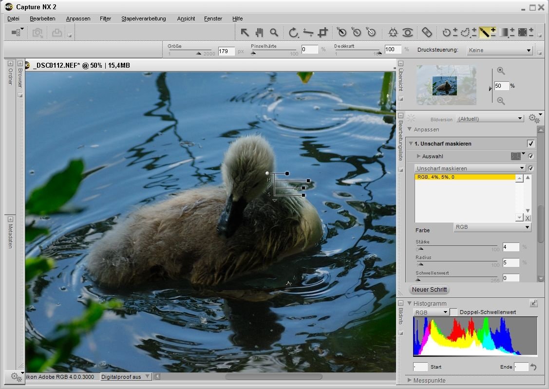 adobe dng converter and camera raw 4.6 update