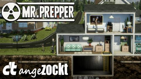 Indie-Survival-Game Mr. Prepper angezockt