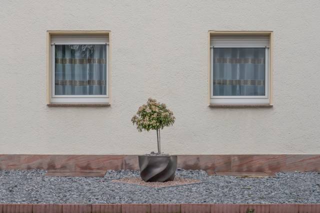 Vorgarten mit Kübelpflanze