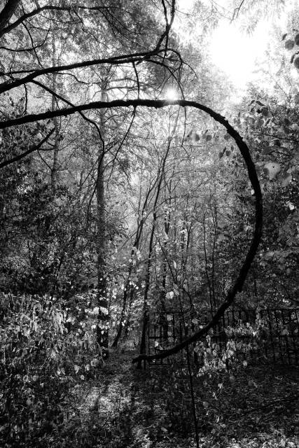 Heiko Roith