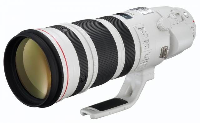 Canon EF 200-400mm f/4L IS 1.4x