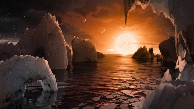 Das System von TRAPPIST-1