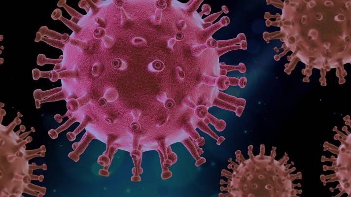 Konzepte der bakteriellen Virenabwehr gegen Covid-19