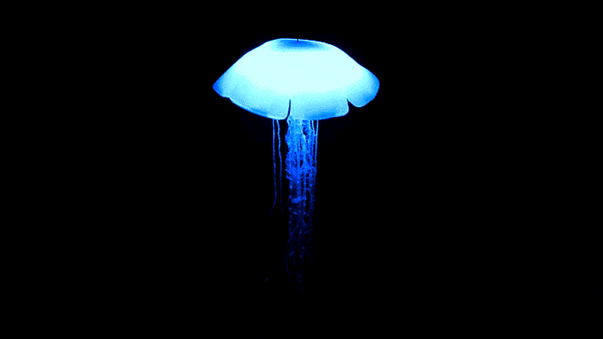 Motion Light Jellyfish