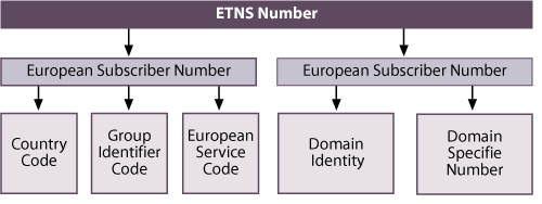 Der europäische Nummernraum ist eine Untergruppe des von der ITU eingerichteten Bereichs für Ländergruppen. ETNS-Nummern sind weiter nach Diensten unterteilt, etwa 5 für Firmennetze oder 7 für Privatpersonen.